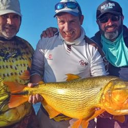 Abundancia de piques en un destino que rinde todo el año con múltiples especies.