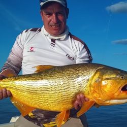 Abundancia de piques en un destino que rinde todo el año con múltiples especies.