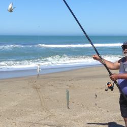 A juzgar por los resultados de pesca deportiva en el mar, y pese a la etapa de transición que siempre dificulta la faena, la noticia es que cuando las condiciones del tiempo lo permiten y el mar está “pescable”, pueden hacerse muy buenas capturas.