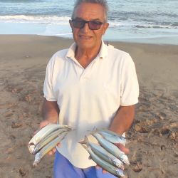 A juzgar por los resultados de pesca deportiva en el mar, y pese a la etapa de transición que siempre dificulta la faena, la noticia es que cuando las condiciones del tiempo lo permiten y el mar está “pescable”, pueden hacerse muy buenas capturas.