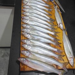 A juzgar por los resultados de pesca deportiva en el mar, y pese a la etapa de transición que siempre dificulta la faena, la noticia es que cuando las condiciones del tiempo lo permiten y el mar está “pescable”, pueden hacerse muy buenas capturas.