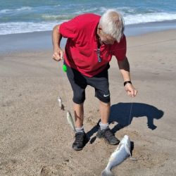 A juzgar por los resultados de pesca deportiva en el mar, y pese a la etapa de transición que siempre dificulta la faena, la noticia es que cuando las condiciones del tiempo lo permiten y el mar está “pescable”, pueden hacerse muy buenas capturas.