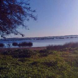 La laguna, alimentada por un manantial subterráneo, se ha secado, un desenlace lamentable pero previsible. 