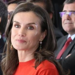 Letizia Ortiz y su falda plisada de Adolfo Domínguez