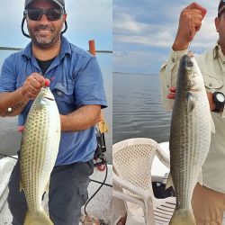 Capturas de lisas que superaron los 3 kg en una salida muy rendidora a poco de iniciado el otoño. 