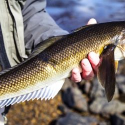 A poco más de 40 años de aquel conflicto que nos marcó a fuego y que se extendió por 74 días, la chance de pescar en este icónico sitio es posible, aunque nada económico. 