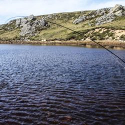 A poco más de 40 años de aquel conflicto que nos marcó a fuego y que se extendió por 74 días, la chance de pescar en este icónico sitio es posible, aunque nada económico. 