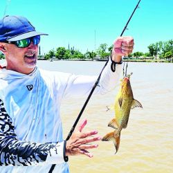 El guía Fabio Pupi Rodríguez, misionero de nacimiento y campanense por adopción, conoce al dedillo cada rincón del río. 