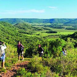 Para descubrir parte de los paisajes, la flora y la fauna del Área Protegida Valle del Lunarejo, el tesoro del norte uruguayo.
