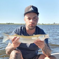 0404_mapa_pique_pesca