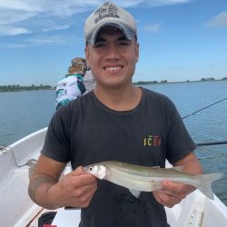 Clave no emplear anzuelos grandes ya que los pejerreyes son de boca pequeña, con un número 2 o 3 de anzuelo es suficiente, utilizando mojarras medianas. 
