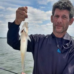 Clave no emplear anzuelos grandes ya que los pejerreyes son de boca pequeña, con un número 2 o 3 de anzuelo es suficiente, utilizando mojarras medianas. 