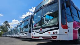 Unidades de Sibus que saldrán a la calle