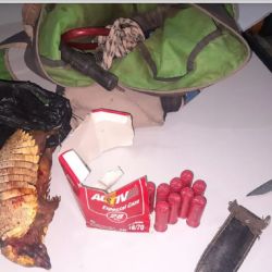 Tanto las armas como los animales faenados fueron incautados por los agentes policiales.