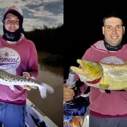 El río se mantiene muy sucio lo que obliga a pescar con carnada, siendo imposible la chance de los señuelos. La nocturna está entregando muy buenos resultados, con variados cebos. Están usando cascarudo, sábalo tanto en filet como trozos, y la siempre presente anguila. 