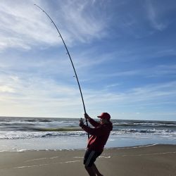 Grandes chuchos, peritas, bagres y burriquetas dominan la acción por estos días en el norte bonaerense de nuestras costas. 
