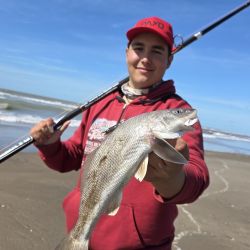 Grandes chuchos, peritas, bagres y burriquetas dominan la acción por estos días en el norte bonaerense de nuestras costas. 