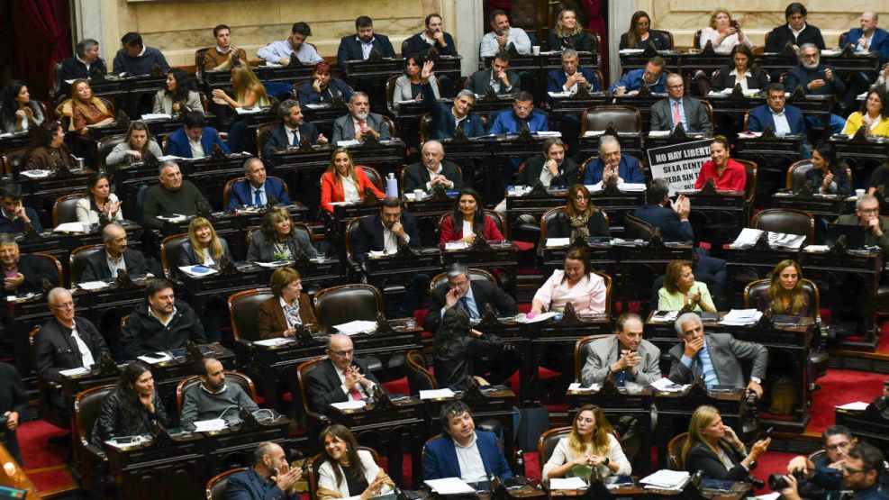 Camara de Diputados 20250408