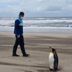 Volvió al mar, tras completar más de seis meses de rehabilitación en la Fundación Mundo Marino