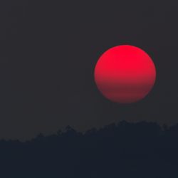 Luna llena Rosa.