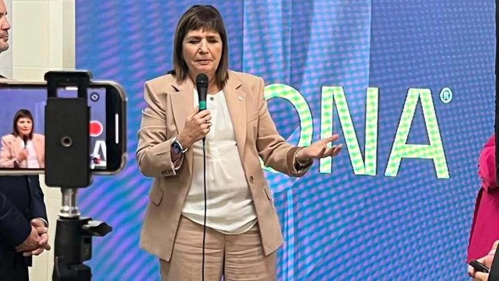 Fundacion Icona, Patricia Bullrich.