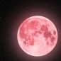 Luna llena de abril 2026: cuándo se podrá ver y por qué se la llama “Luna rosa”