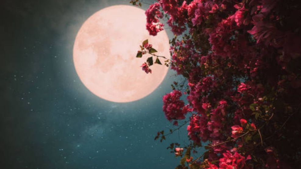 ¿Cómo ver la Luna Rosa desde Argentina?