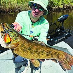 Taruchas en los riachos del Río de la Plata próximos a los malecones de Berisso. 