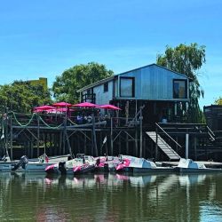 Taruchas en los riachos del Río de la Plata próximos a los malecones de Berisso. 