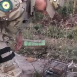 Parte de las aves rescatadas del tráfico ilegal. 