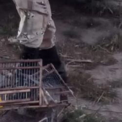 El operativo policial tuvo lugar a la altura del Puesto Caminero Túnel.