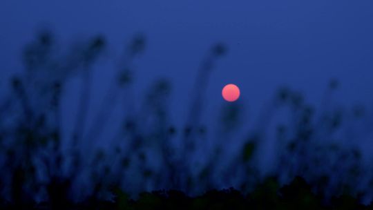 Luna Rosa de abril: el significado espiritual y cómo aprovechar su energía