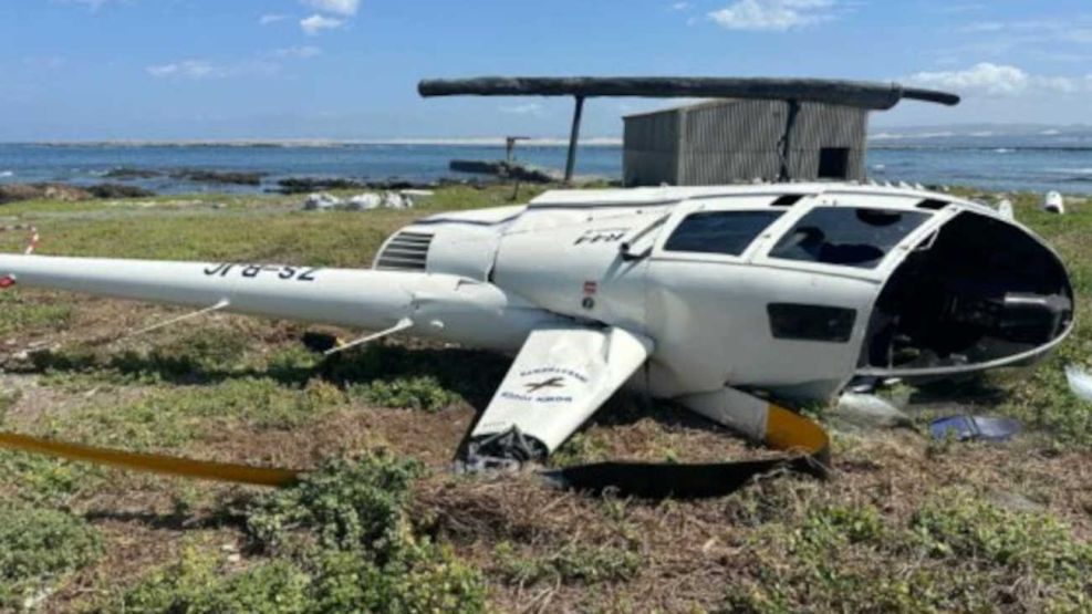 Un pingüino, responsable de la caída de un helicóptero Robinson R44 en Sudáfrica 20250411
