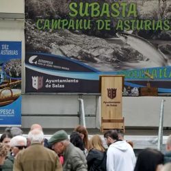 Ninguno de los cientos de pescadores que se acercaron a las riberas de los ríos logró capturar el campanu, el primer ejemplar de cada campaña, que este año se ha iniciado con un día con cielos encapotados y el caudal más alto de lo habitual.