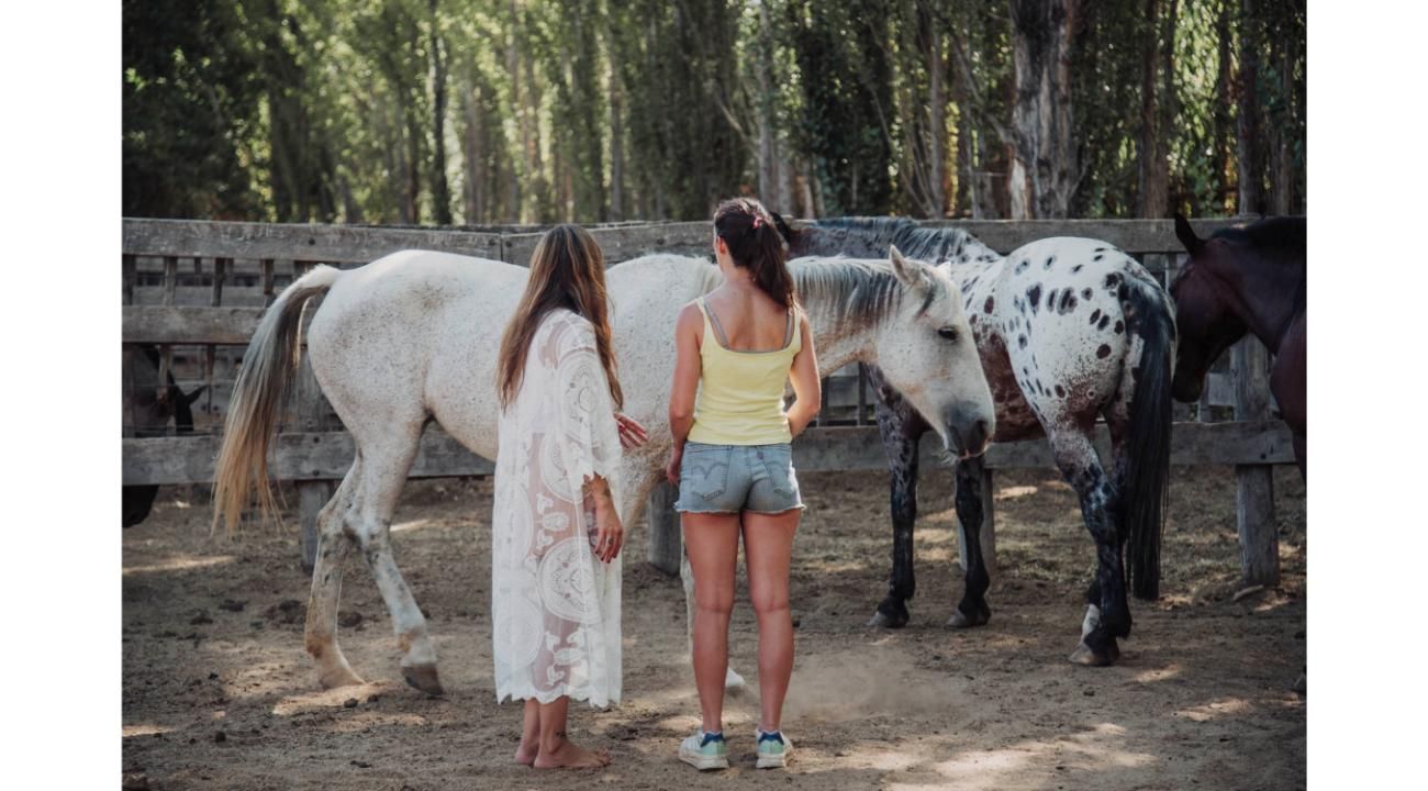 El poder de la naturaleza 