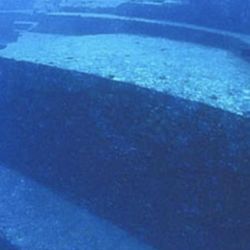 Fue descubierta en las profundidades del extremo suroeste de Japón. 