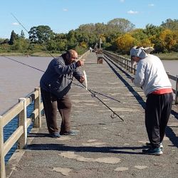 El Río de la Plata se presenta turbio y con aguas color chocolate, situación que no impide que se den pejerreyes en este inicio de la temporada.