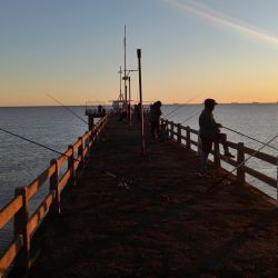 El Río de la Plata se presenta turbio y con aguas color chocolate, situación que no impide que se den pejerreyes en este inicio de la temporada.