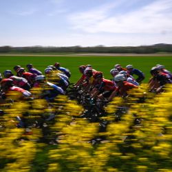 El pelotón de ciclistas pedalea durante la quinta edición de la carrera femenina París-Roubaix, 148,5 km entre Denain y Roubaix, en el norte de Francia. | Foto:JULIEN DE ROSA / AFP