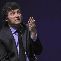 Javier Milei | Foto:CEDOC