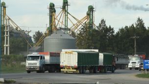 Transporte de granos en camiones