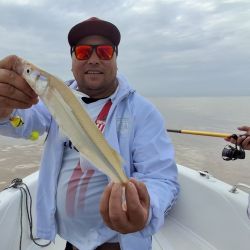 La corriente y la calma del viento concentraron los peces en la proa, donde se registraron la mayoría de las capturas. 