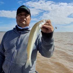 La corriente y la calma del viento concentraron los peces en la proa, donde se registraron la mayoría de las capturas. 