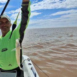 La corriente y la calma del viento concentraron los peces en la proa, donde se registraron la mayoría de las capturas. 