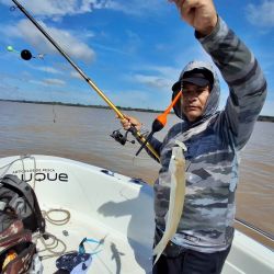 La corriente y la calma del viento concentraron los peces en la proa, donde se registraron la mayoría de las capturas. 