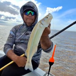La corriente y la calma del viento concentraron los peces en la proa, donde se registraron la mayoría de las capturas. 