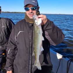 Semana de buen pique, con una variada que aún no afloja y un pejerrey que está en constante ascenso, tanto en lagunas como en la playa. 