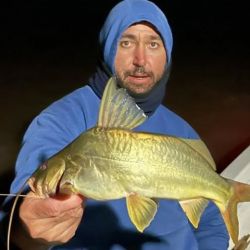 Semana de buen pique, con una variada que aún no afloja y un pejerrey que está en constante ascenso, tanto en lagunas como en la playa. 