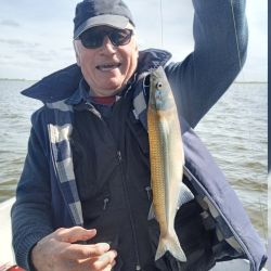 Semana de buen pique, con una variada que aún no afloja y un pejerrey que está en constante ascenso, tanto en lagunas como en la playa. 