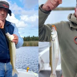 Semana de buen pique, con una variada que aún no afloja y un pejerrey que está en constante ascenso, tanto en lagunas como en la playa. 